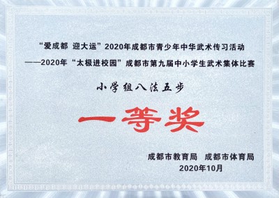 2020年“太极进校园”成都市第九届中小学生武术集体比赛一等奖