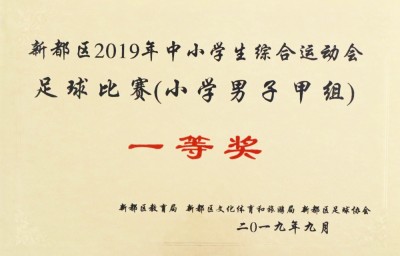 2019新都区中小学综合运动会足球项目校园足球决赛冠军