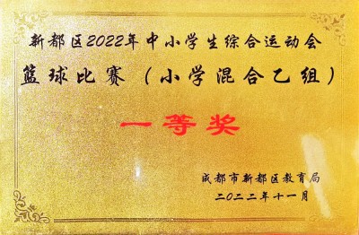 新都区2022年中小学综合运动会篮球比赛一等奖（混合乙组）