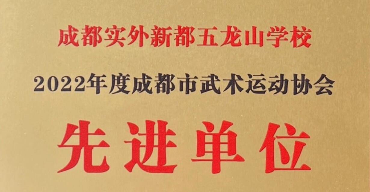 2022年度成都市武术运动协会先进单位