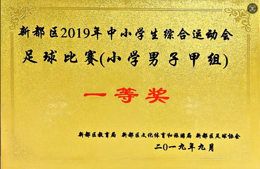 2019年9月中小学生综合运动会足球比赛(小学男子甲组)：一等奖