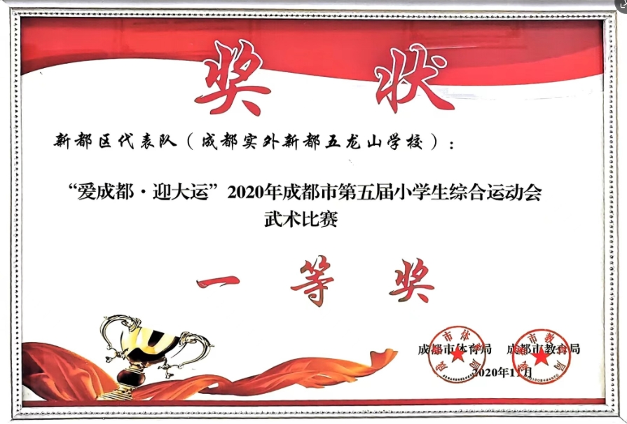 2020年11月成都市第五届小学生综合运动会武术比赛：一等奖